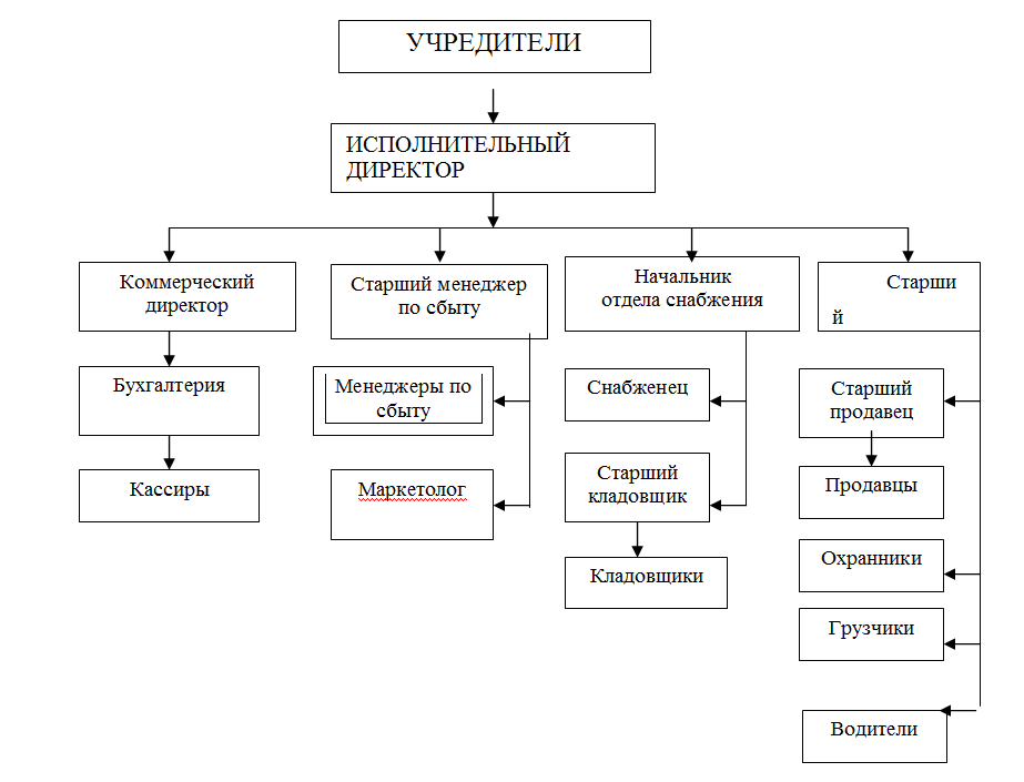 Рис. 1. Структура управления ООО «Алекстехно».