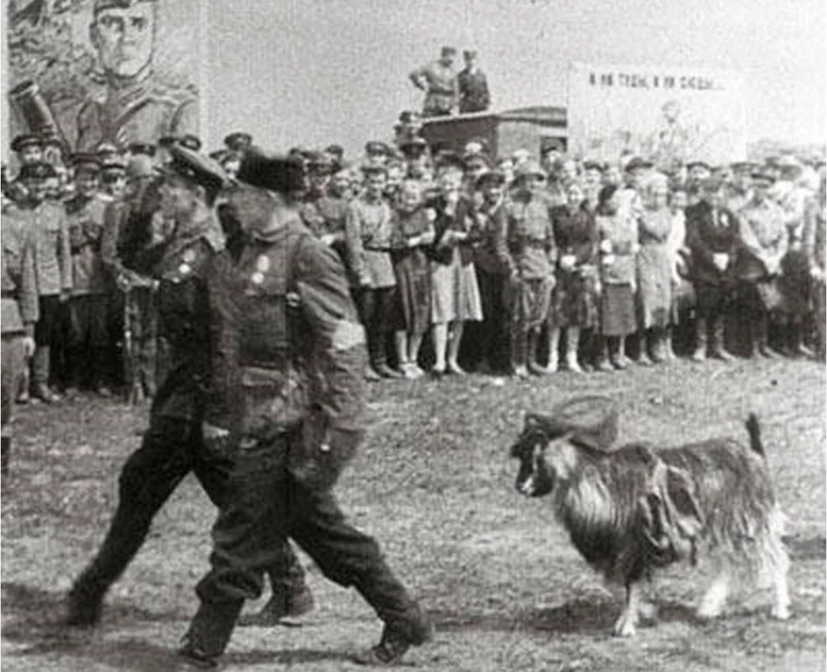 Фото из интернета.