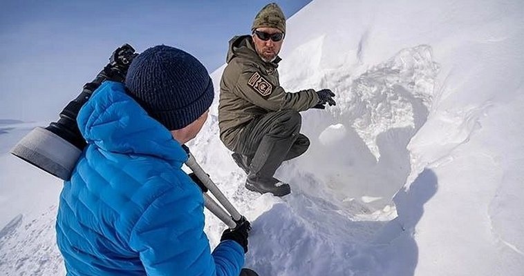 Фото: Заповедник "Остров Врангеля"