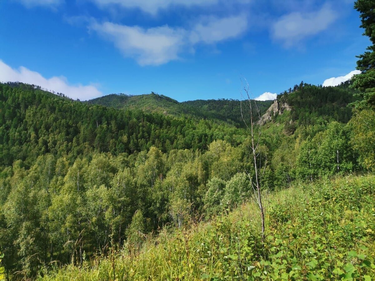    Фото: Пресс-служба правительства Забайкалья
