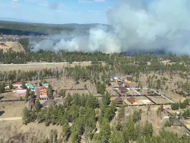    Фото: Telegram-канал Pilot Orlov