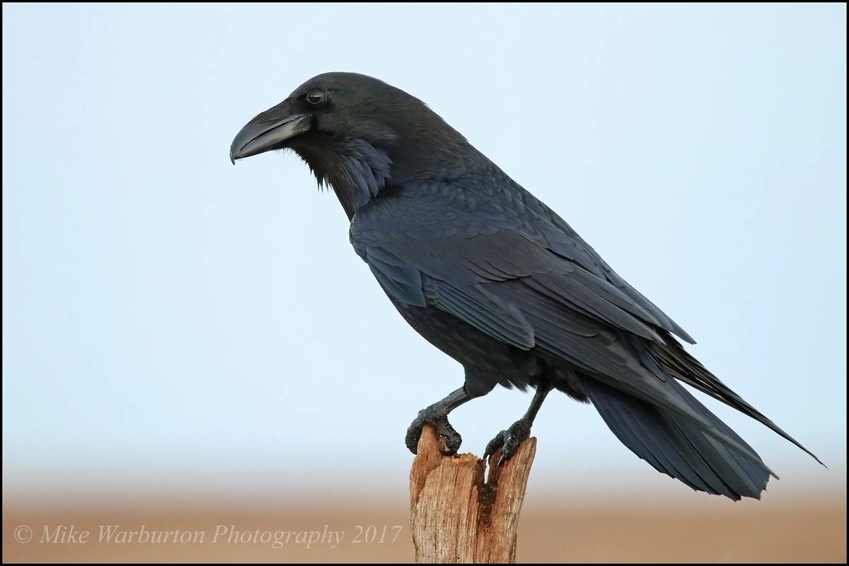 #жизньисмерть #мужскаяфилософия #прожитьнепрожитое #наследие #жизнькаконаесть