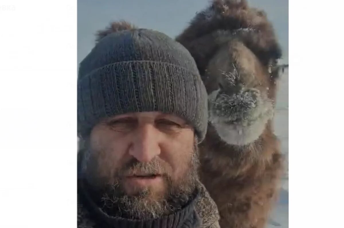    «Очень любят барбариски».