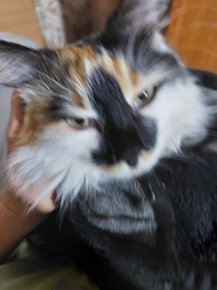 Тот самый нос, на который мы поймались 🤣