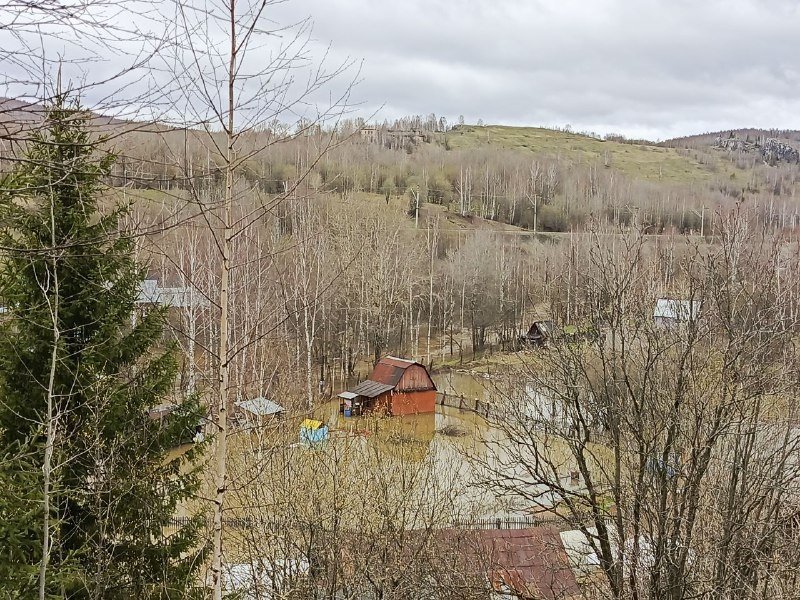    Фото: В курсе.ру Иван Фистин