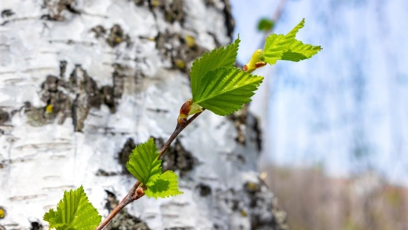 Фото: @Vika-viktoria007 / freepik.com