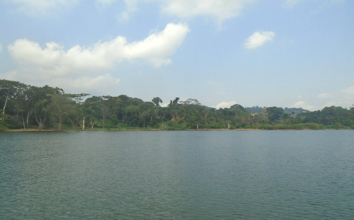 Озеро Виктория в районе Энтеббе.