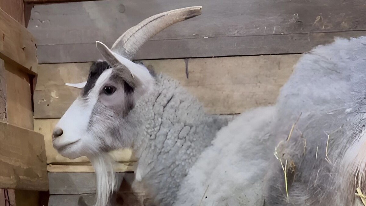     Источник: transsibinfo.com