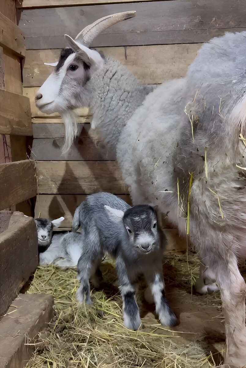     Источник: transsibinfo.com