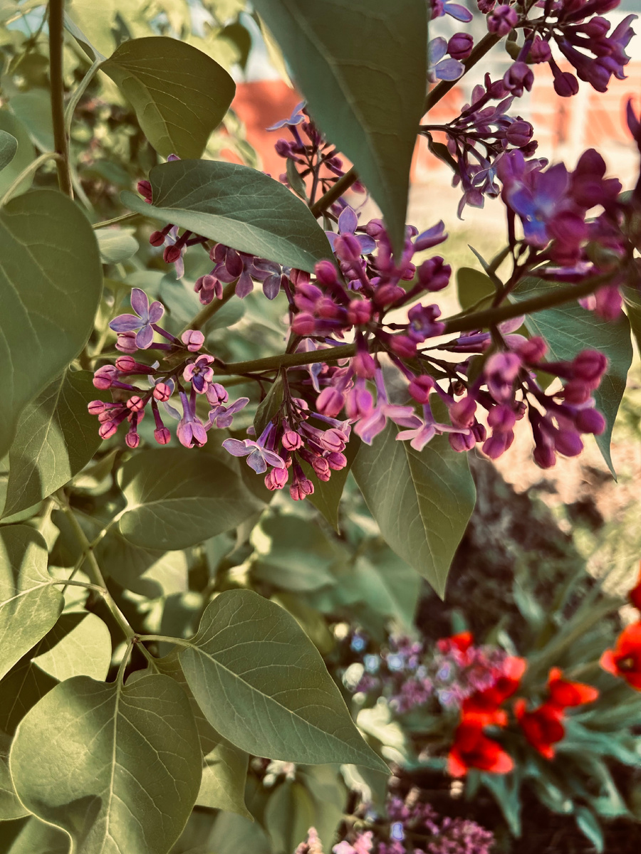 Фотография автора канала.