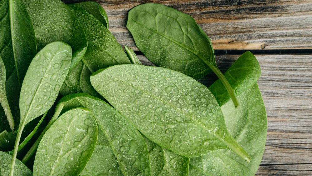   Изображение от pvproductions на Freepik