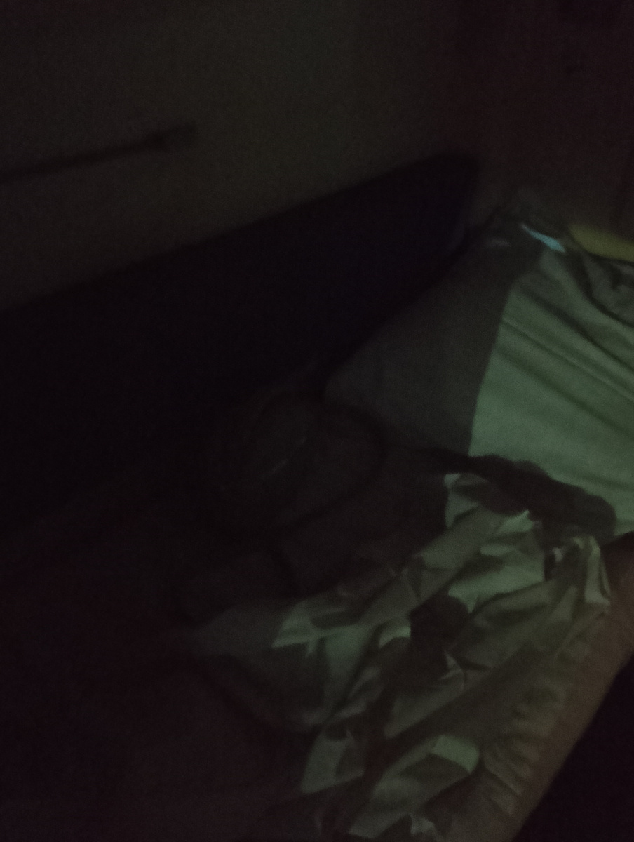 Застелила себе белье в поезде, фото автора