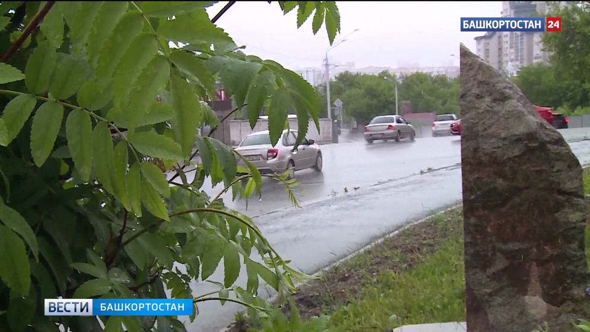    Грозы и дожди: пасмурную погоду обещают синоптики в Башкортостане
