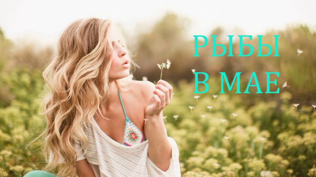 Знак Зодиака Рыбы. Фото inpearls.ru