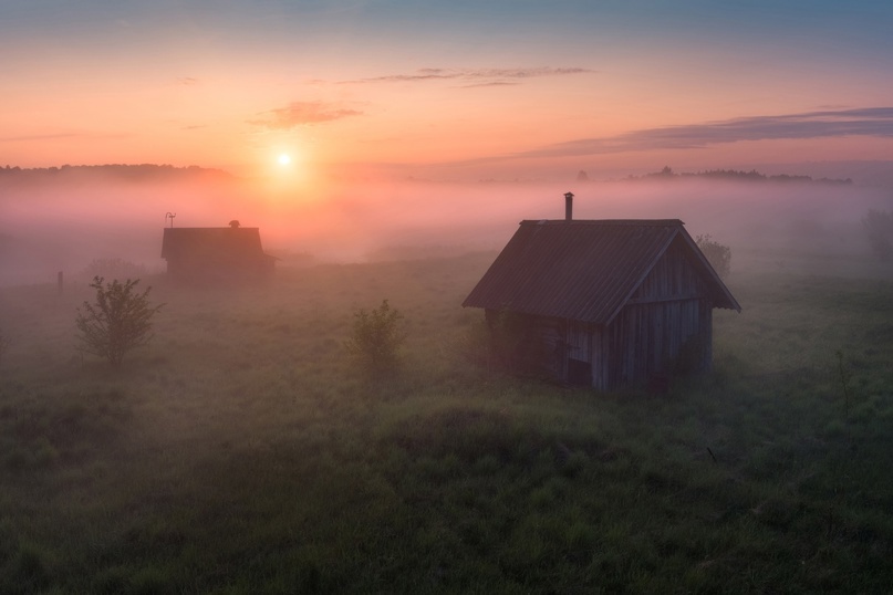 Яндекс. Картинки. 