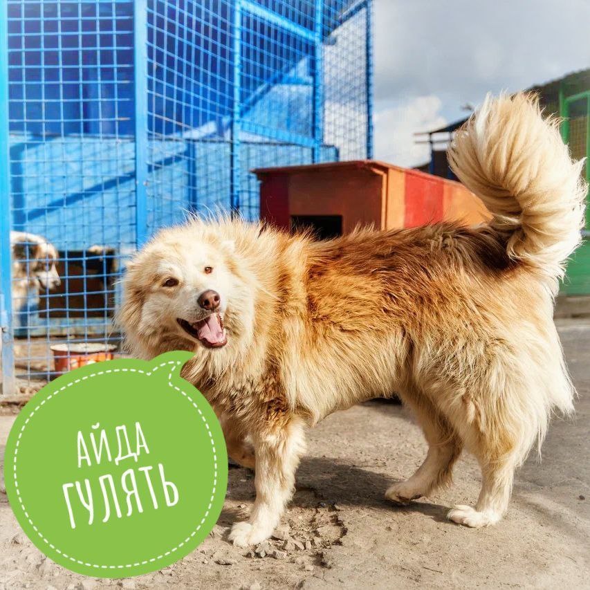 Приезжайте к нам для прогулок, общения и за порцией позитивного настроения!