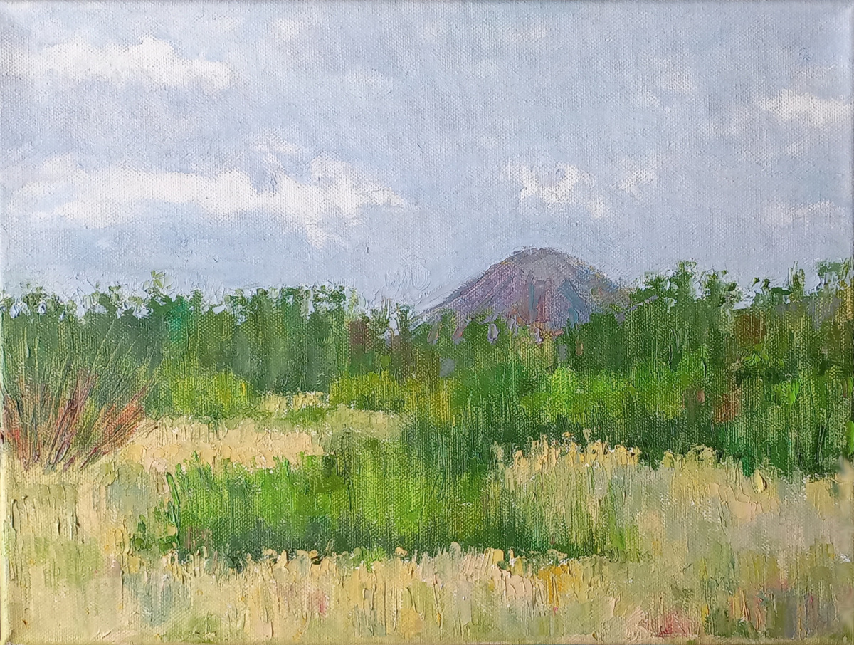 «Камыши и терриконы» Холст. Масло 2025 год Канал «Донецк есть»