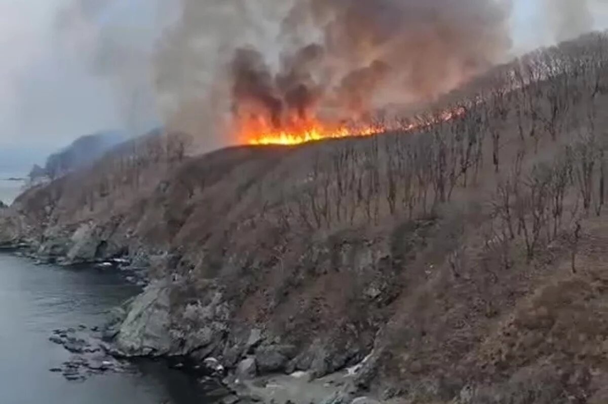    В Забайкалье тушат 21 лесной пожар на площади свыше 160 тыс. га