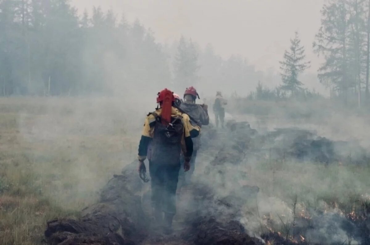    В Бурятии горят леса на площади 37 тысяч га