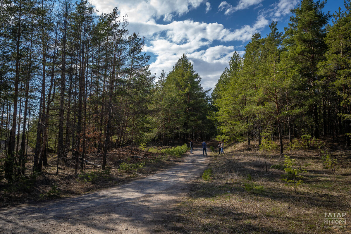 Фото: © «Татар-информ» / Владимир Васильев