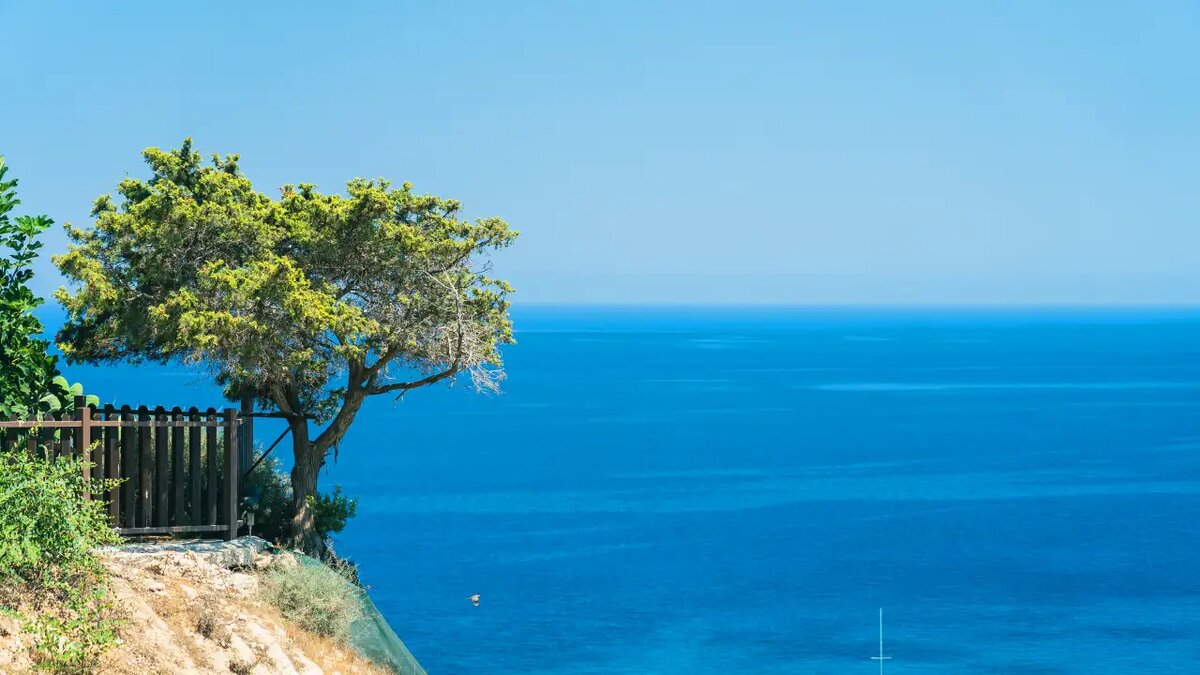    Побережье Крыма