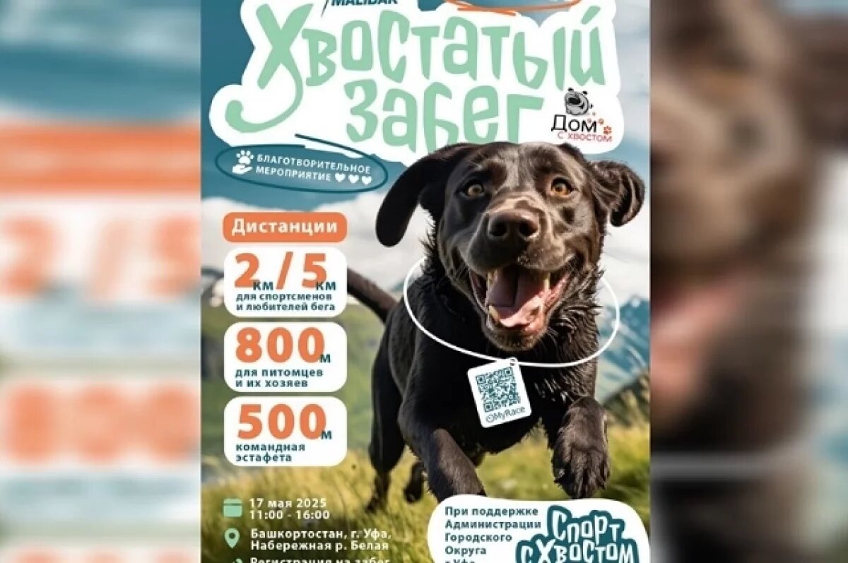    Уфа готовится к «Хвостатому забегу»