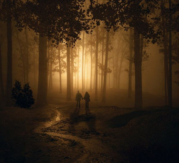 Фото Яндекс картинки.