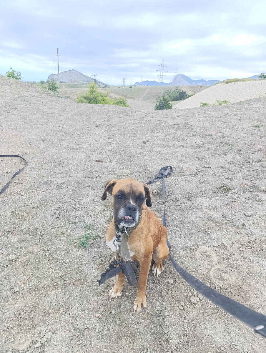 Хмм! Закрыли! Но я все равно что-нибудь придумаю!