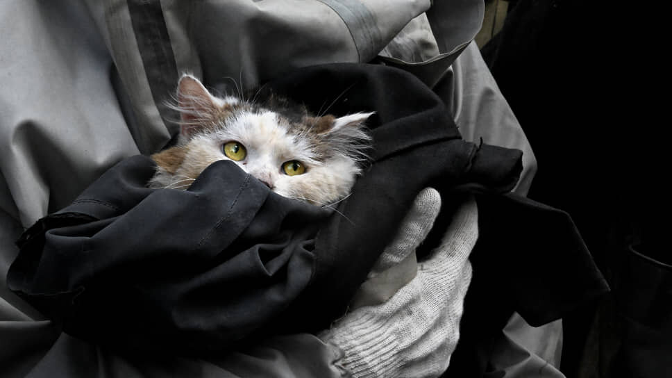 Фото: Анатолий Жданов / Коммерсантъ