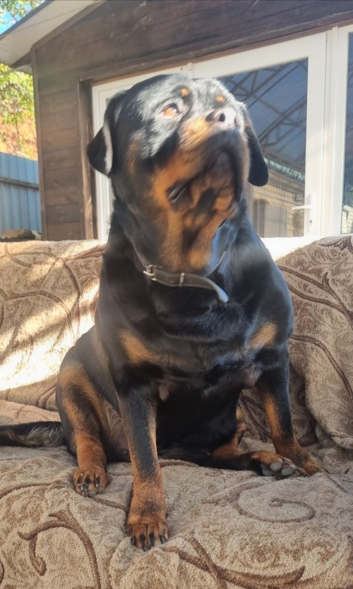 Задумалась о чём-то 