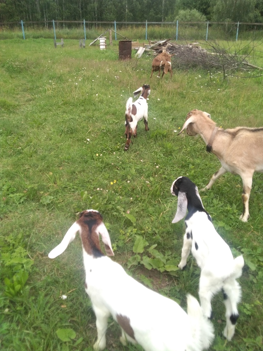 Фото автора.