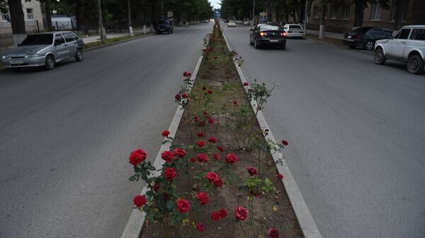    © Sputnik / Ада Багиан