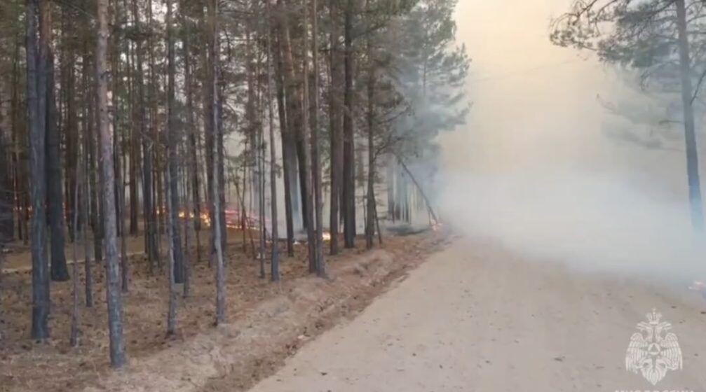    Фото: Пресс-служба ГУ МЧС России по Забайкальскому краю