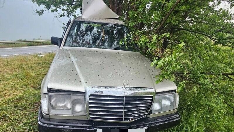     Источник: УГИБДД по Ставропольскому краю