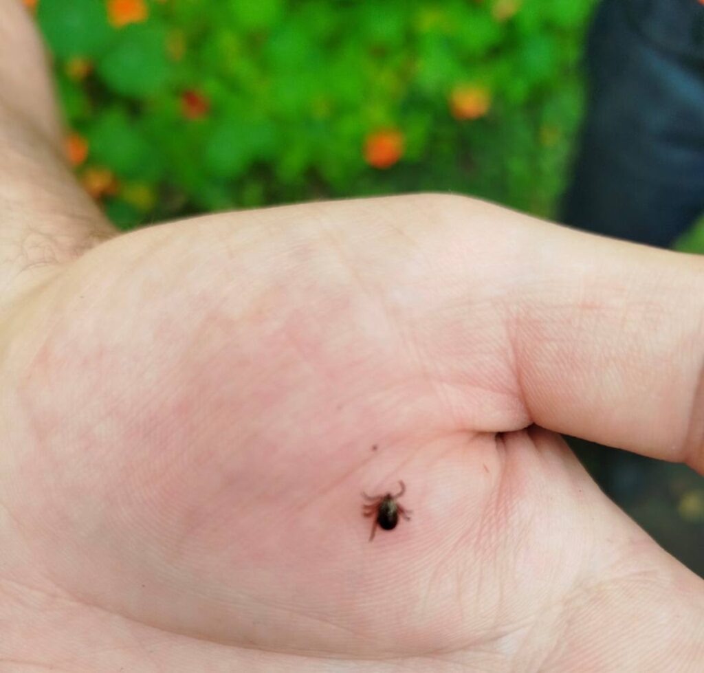    Фото: В курсе.ру Екатерина Устькачкинцева