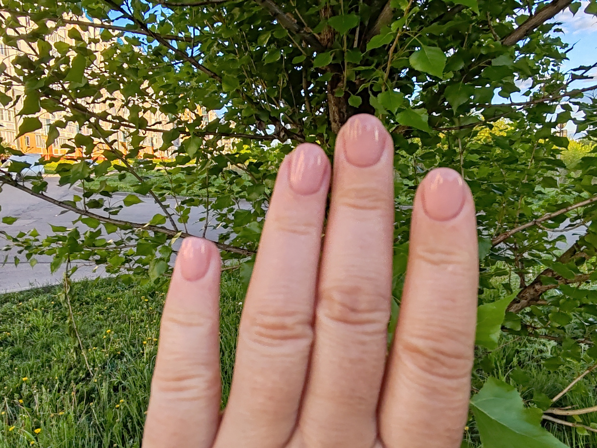 Фото автора канала. 