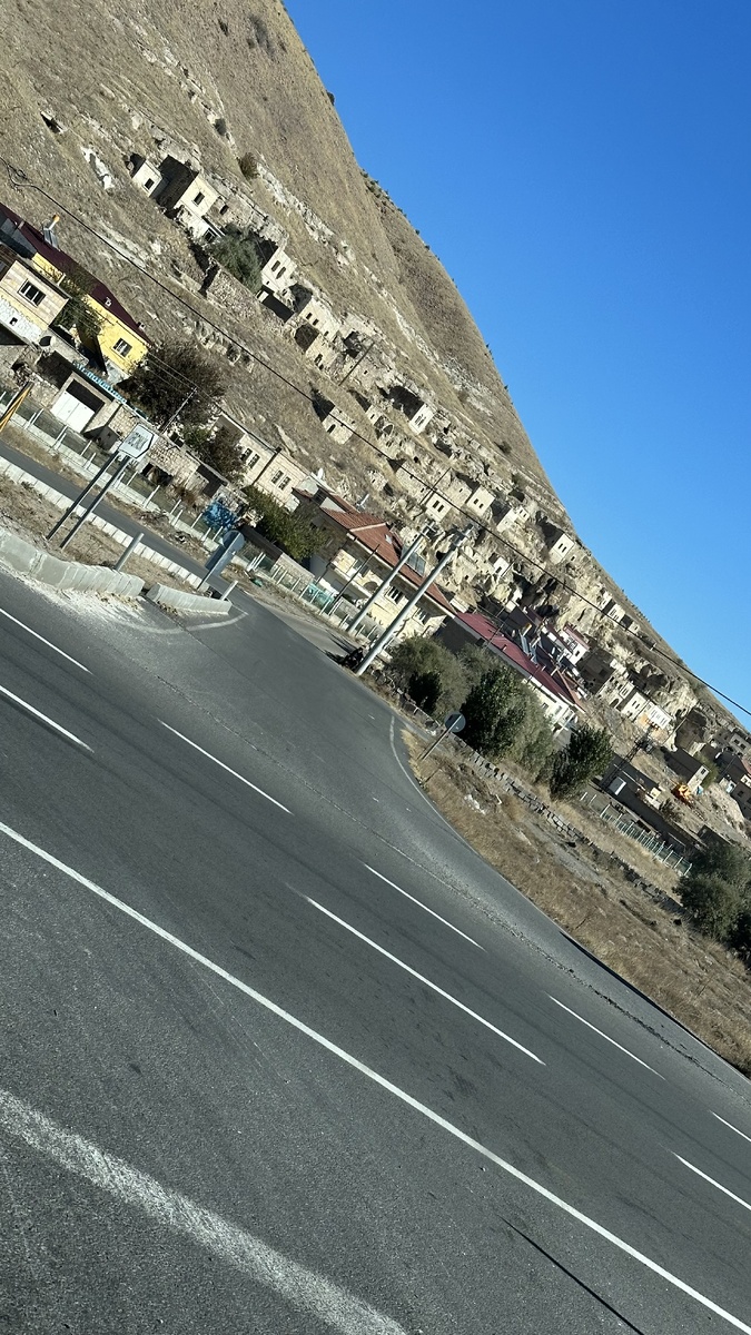 Ими усыпано большинство холмов 