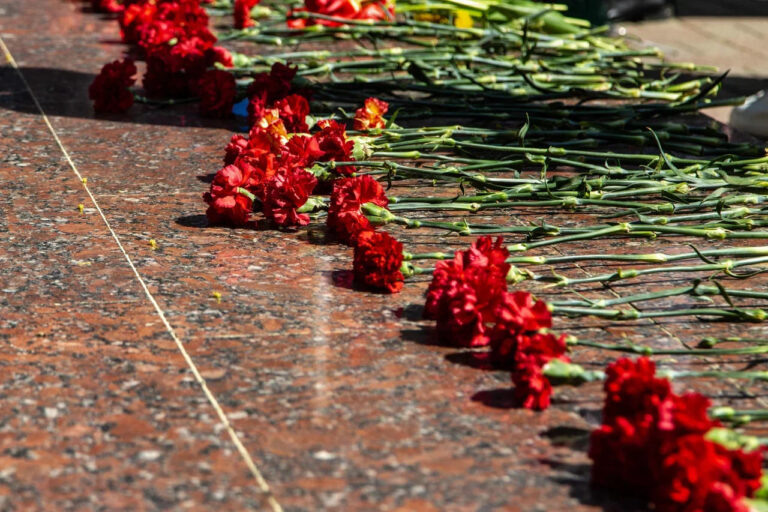    Фото: Общественная Служба Новостей Анна Мигинеишвили