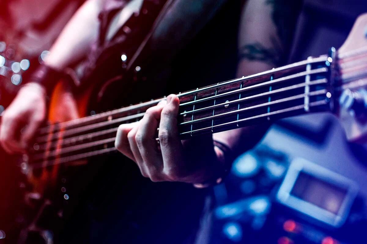    Фото: Gansstock / Shutterstock.com