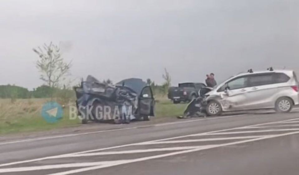    ДТП на Чуйском тракте. Источник: t.me/bskgram