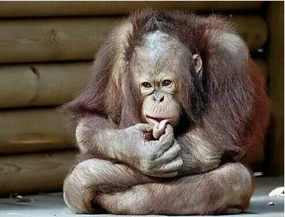 Так где же ставить запятую? Фото с сайта drive2.ru