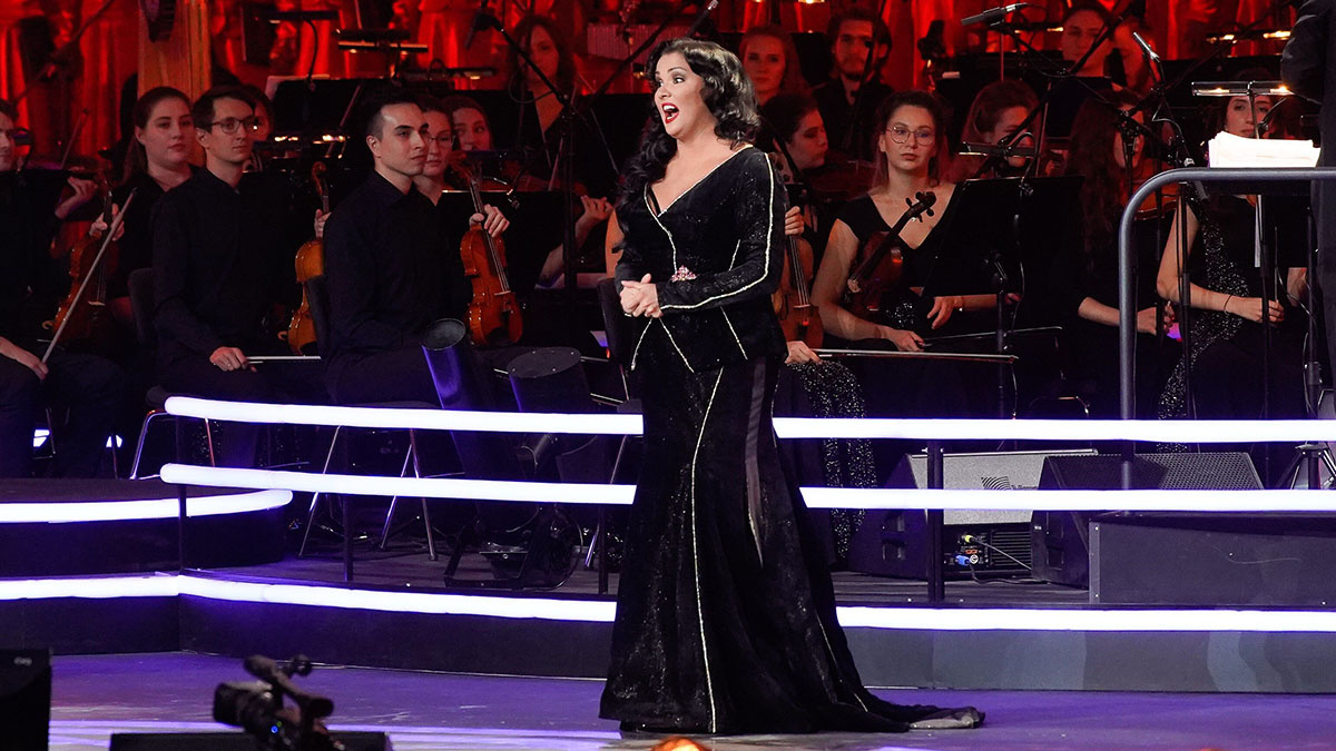    Фото: vm.ru Павел Евсеев