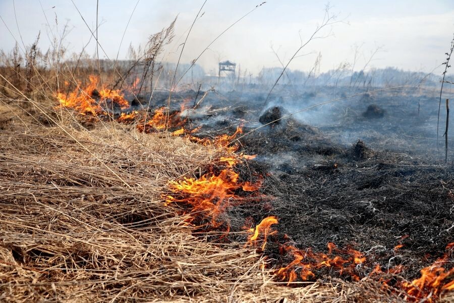     / Источник: © Виталий Белоусов/РИА Новости