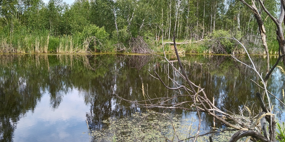 Почему в поле дышится легче или философия жизни, лишенной привычного комфорта