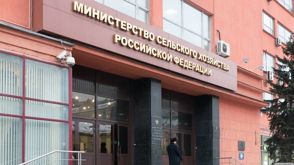 Фото из открытых источников.