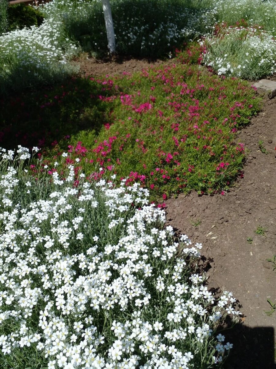 фото из личного альбома