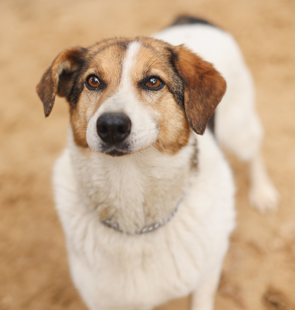 Я не виноват, Что тебе не подхожу По статусу, ну и типажу.