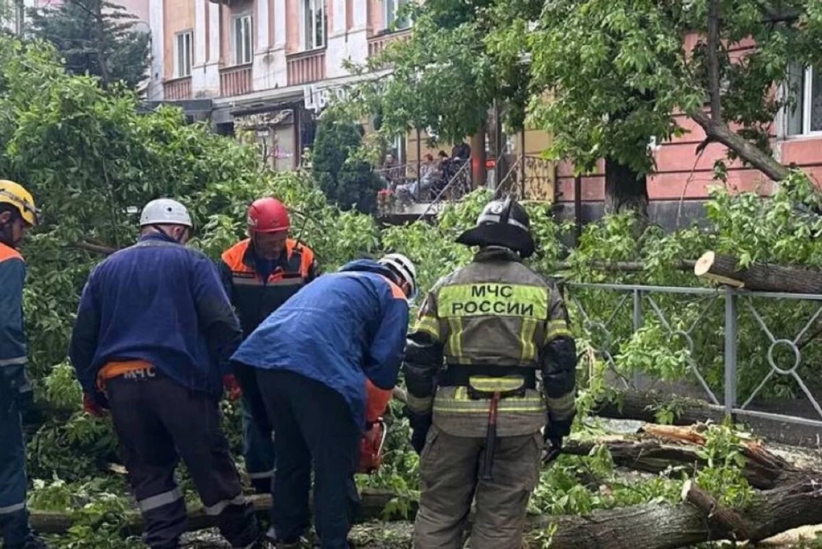    Проверка идёт из-за тяжёлых травм мужчины от падения дерева во Владикавказе