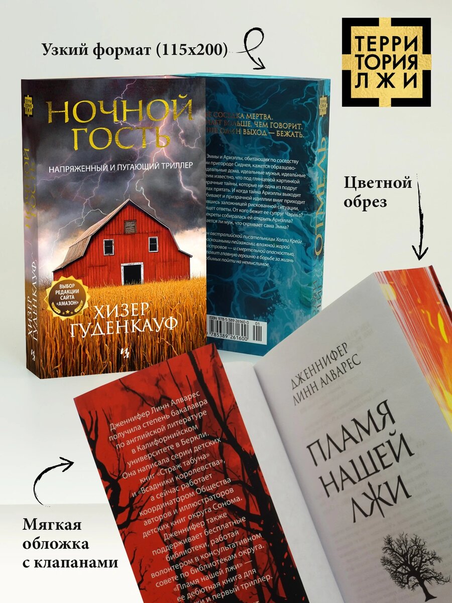 Картинка © https://azbooka.ru/books/nochnoy-gost?ysclid=mai25v3nbp285987527
