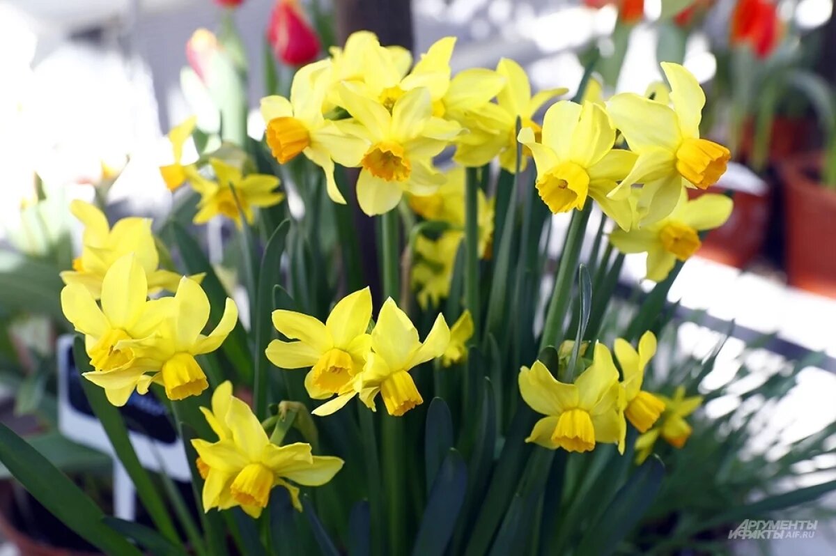    Ветерану ВОВ Полине Ивановне Ивановой исполнилось 102 года